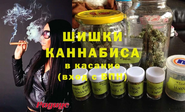 сатива Богородицк