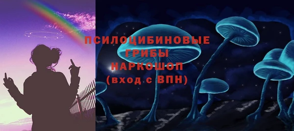 ешки Богданович
