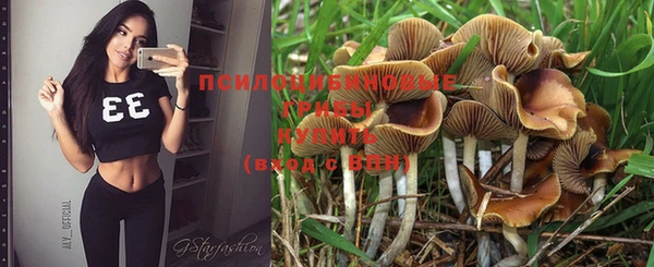 ешки Богданович