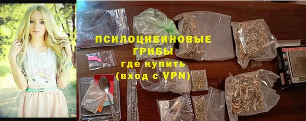 сатива Богородицк