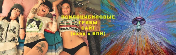 сатива Богородицк