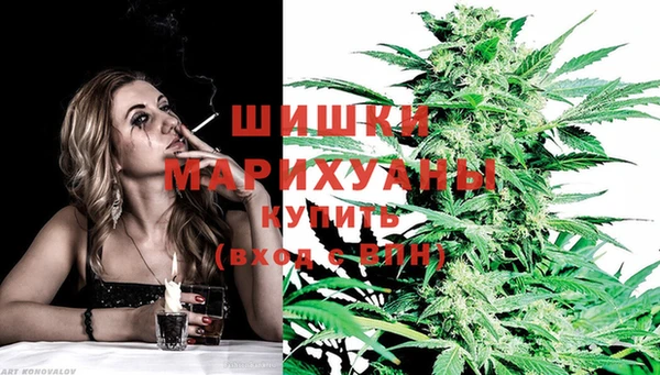ешки Богданович