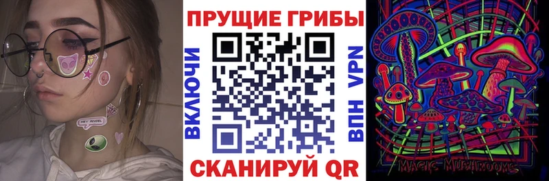 Псилоцибиновые грибы Magic Shrooms  Кузнецк 